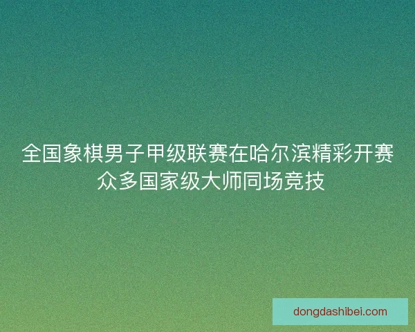 全国象棋男子甲级联赛在哈尔滨精彩开赛 众多国家级大师同场竞技