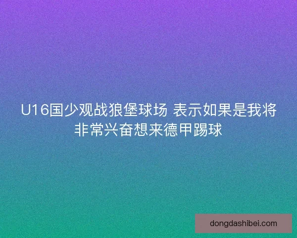 U16国少观战狼堡球场 表示如果是我将非常兴奋想来德甲踢球